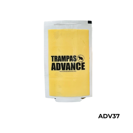 [ADV37] 72 MAX 12GRS ADVANCE 13X20 CM TRAMPA PEGAMENTO RATON X PIEZA
